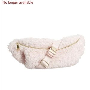 Pottery Barn Teen NWT belt bag